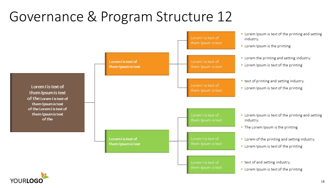 Program Management Structure Template